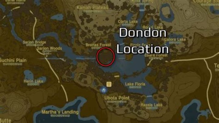 Dondon Map Location in Tears of the Kingdom
