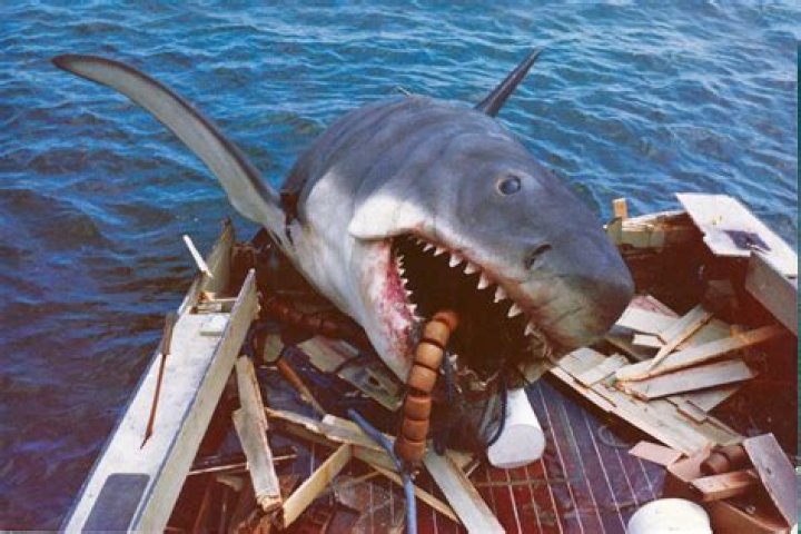 Jaws