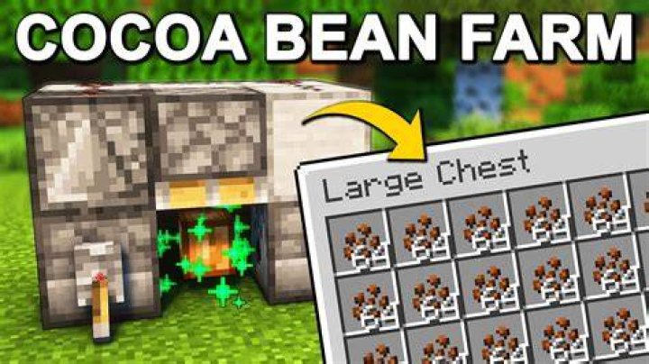 Minecraft Guide: How to Farm Cocoa Beans
