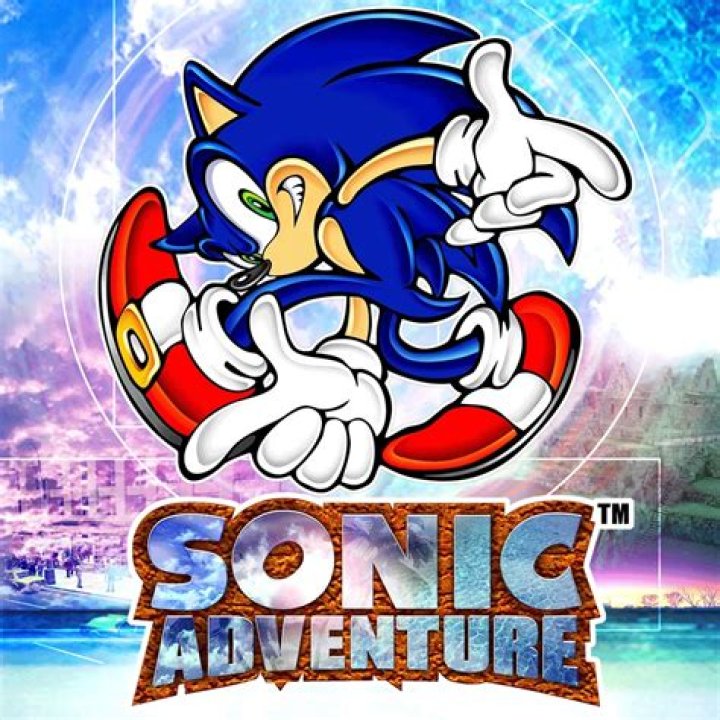 Sonic Adventure Game