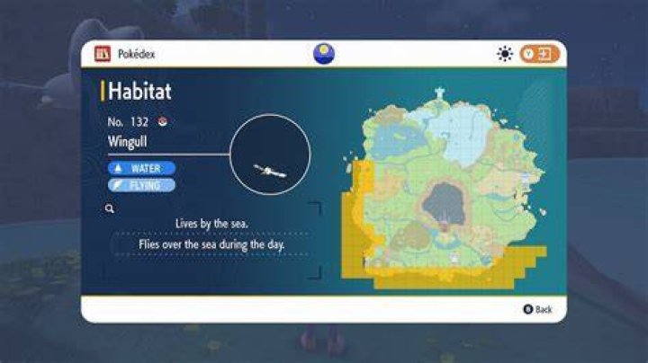 Where to Find Wingull in Pokémon Scarlet and Violet